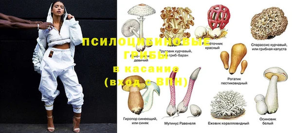 кристаллы Богданович